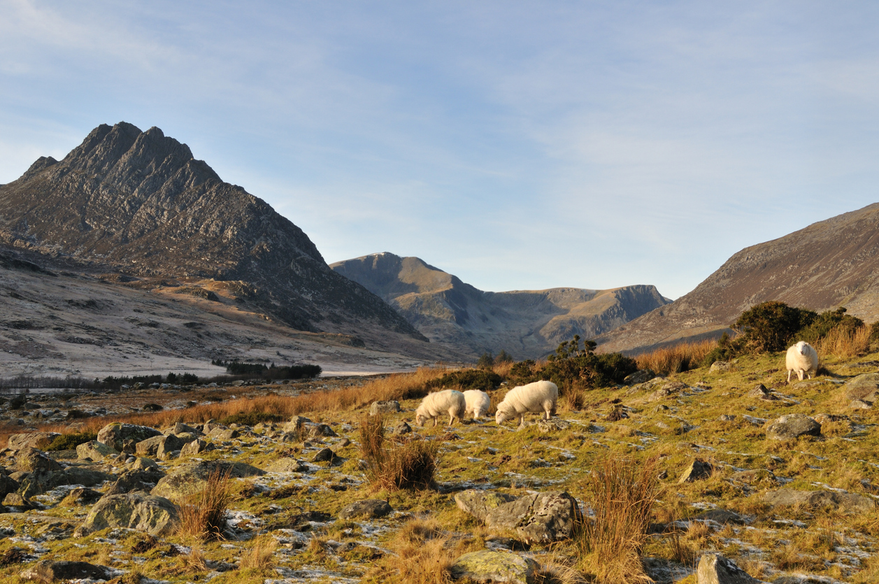 Tryfan