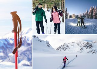 choosingskipoles4