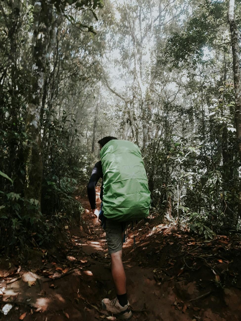 A person mountaineering 