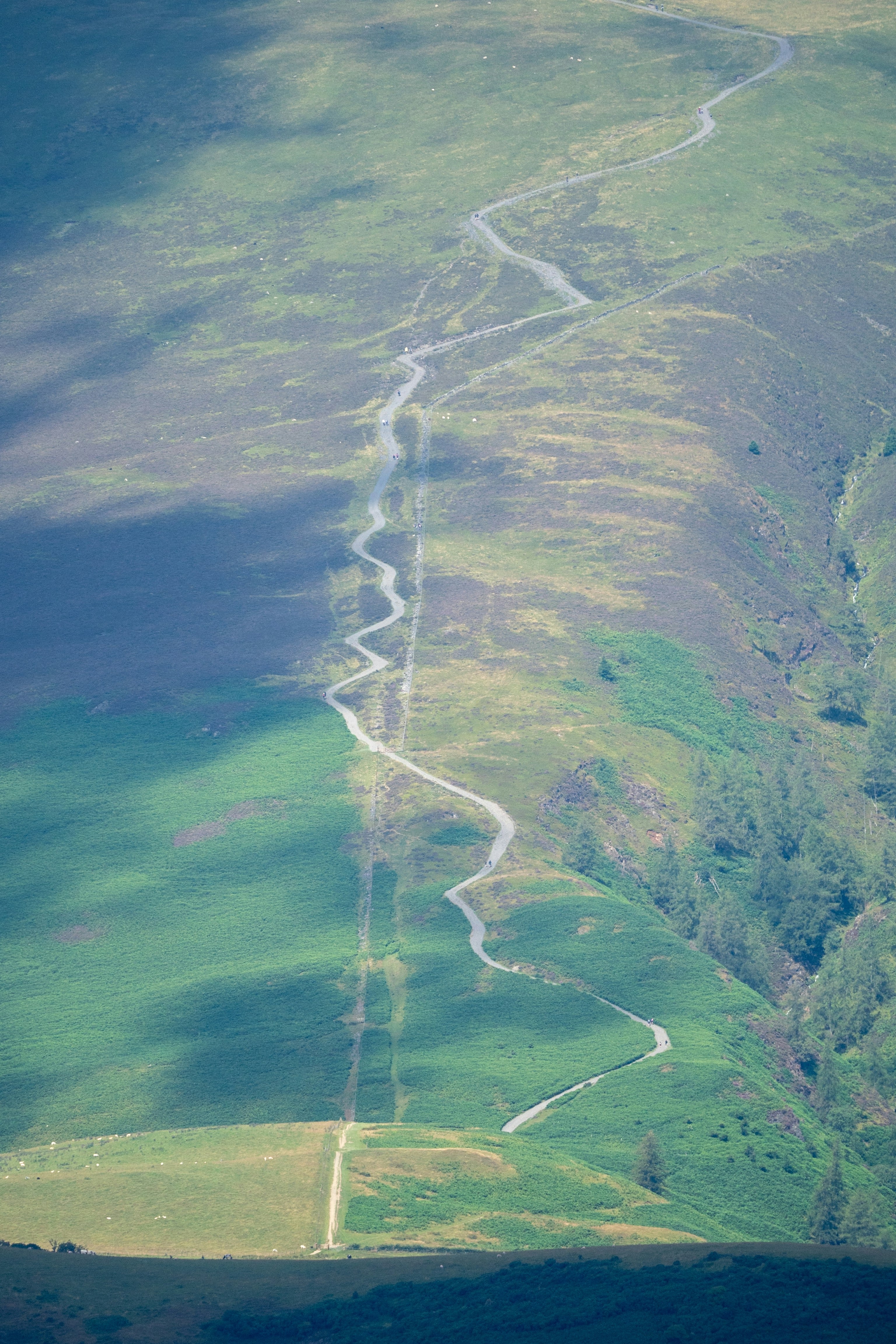 An image of a path up Skiddaw  