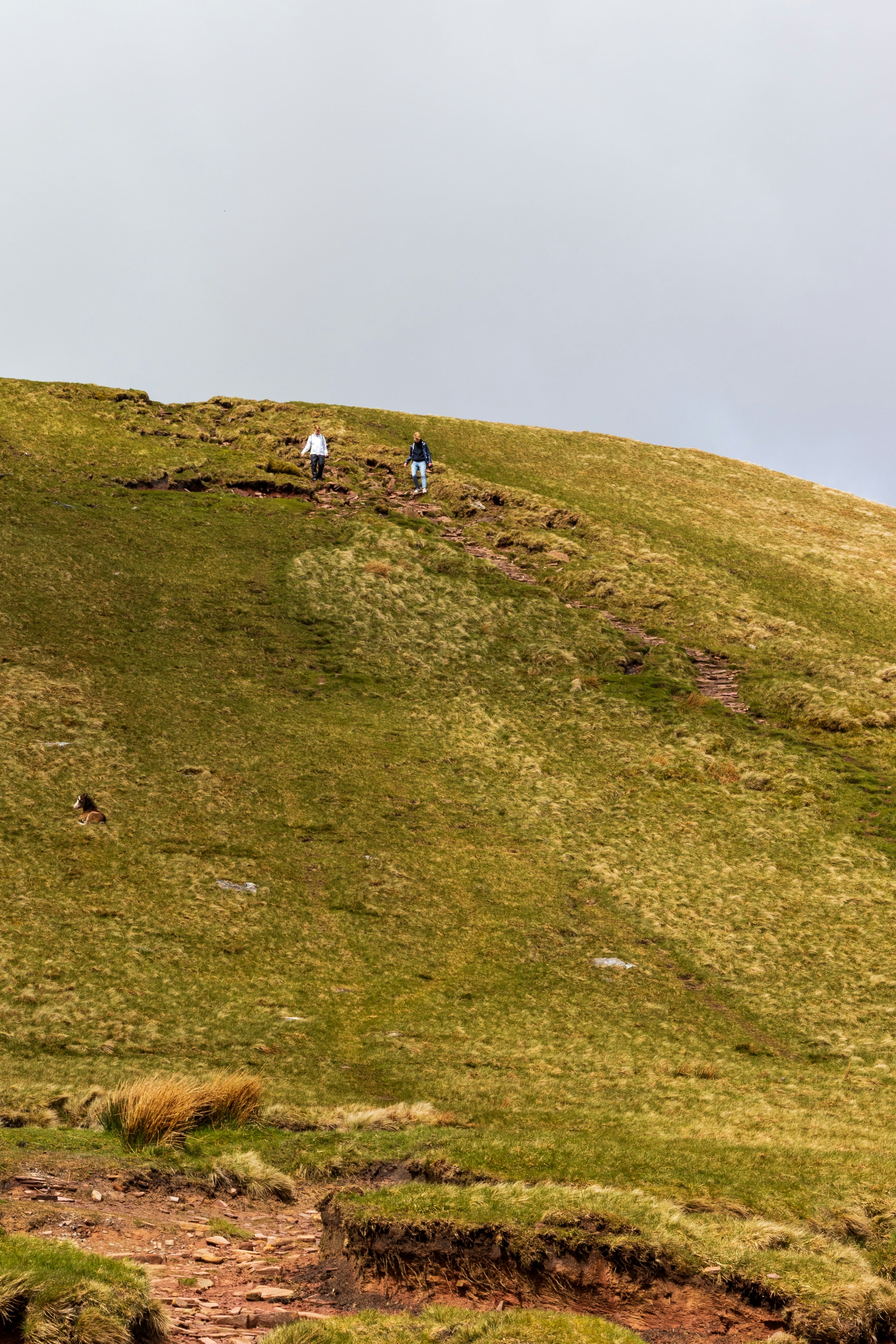 An image of two people stood on a steep hill near Pen Y Fan 