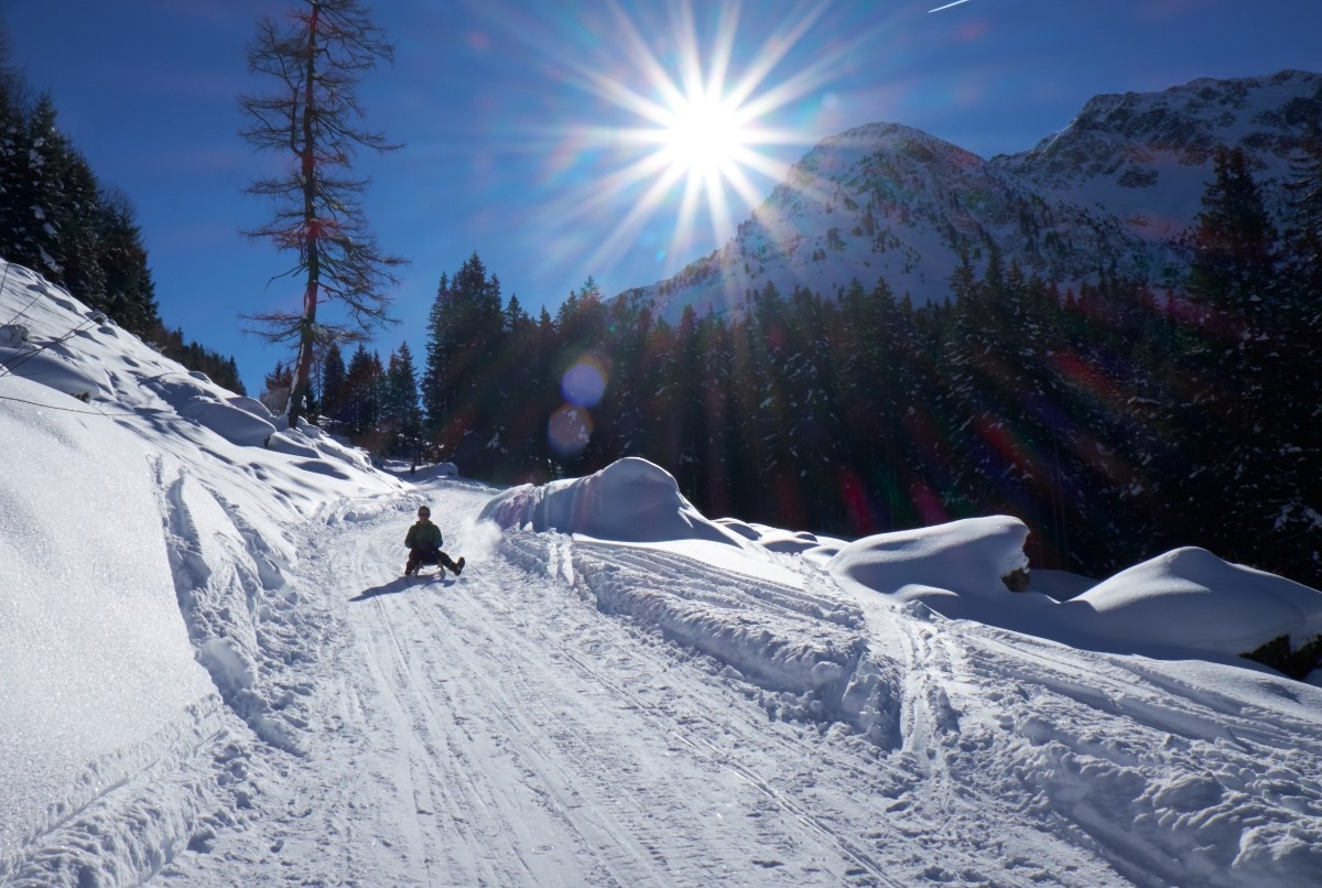 A person bobsleighing at Alpbach ski resort