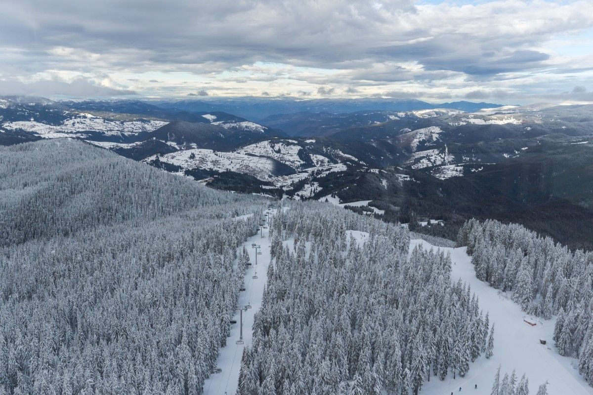 Snow covering the piste and trees of Pamporovo Ski Resort